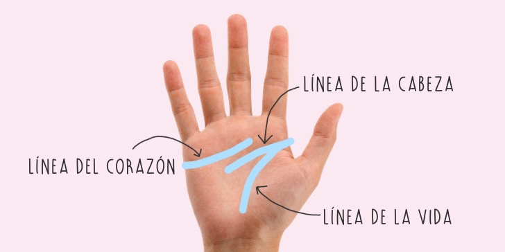 lineas de la mano